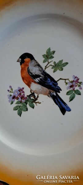 Old Zsolnay bird porcelain flat plate 1 (l4552)