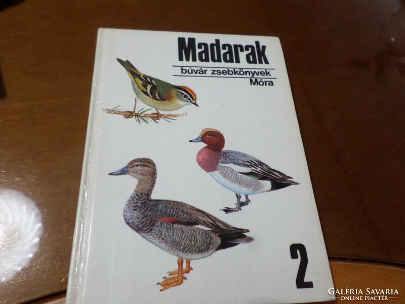 Birds 1-2-3. Diver's pocket book, diver's pocket books