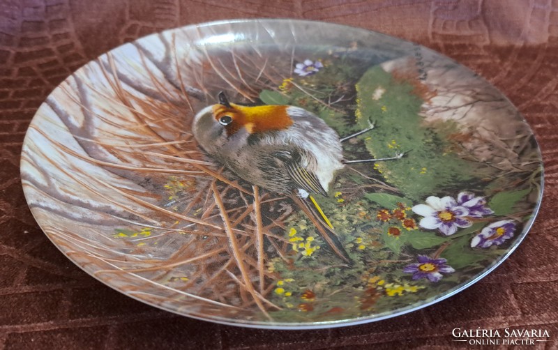 Bird decorative plate, robin porcelain wall plate (l4546)