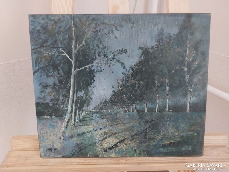 (K) Turcsányi b. Landscape painting 35x29 cm