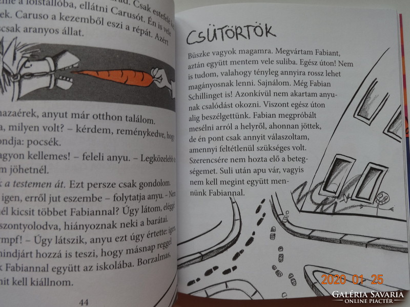 Dagmar Geisler: Wanda titkos naplója - gyermekkönyv a szerző rajzaival