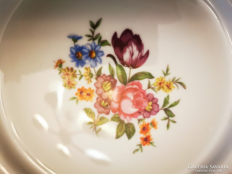 Csodálatosan szép 6 személyes Roschütz német porcelán étkészlet