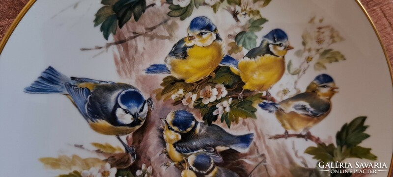 Cingés porcelain decorative plate, wall plate with birds (l4563)