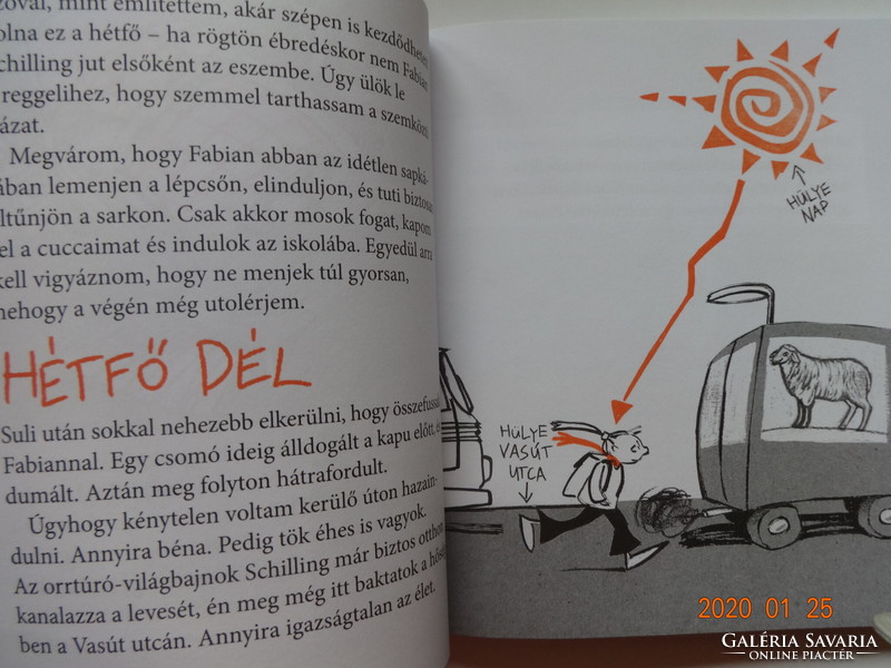 Dagmar Geisler: Wanda's Secret Diary - children's book with the author's drawings