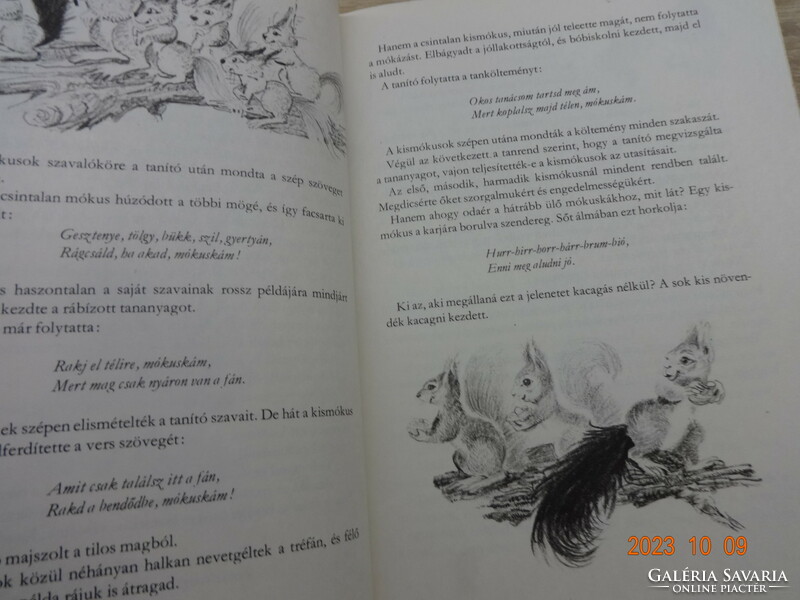 Tersánszky Józsi J.: Misi Mókus kalandjai - régi mesekönyv Róna Emy rajzaival (1980)