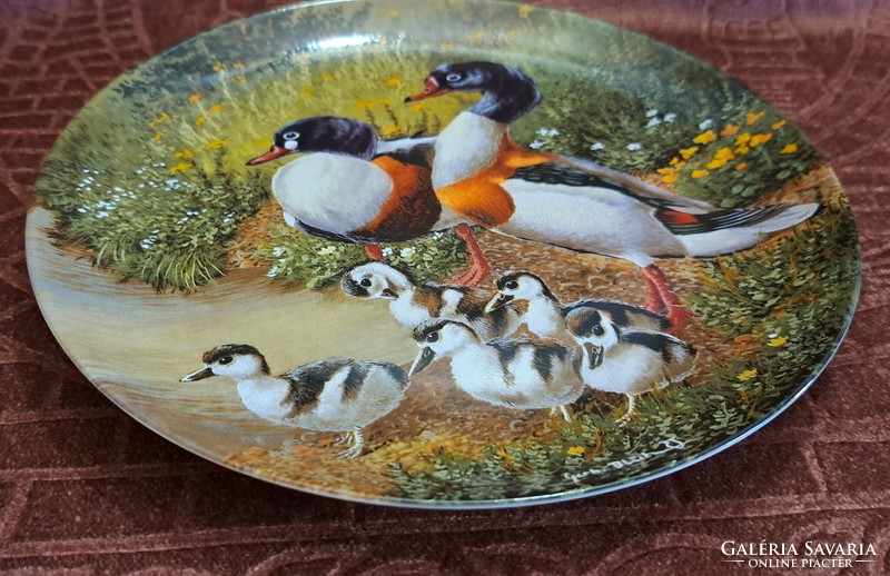 Birds porcelain plate, wall plate with ducks (l4562)