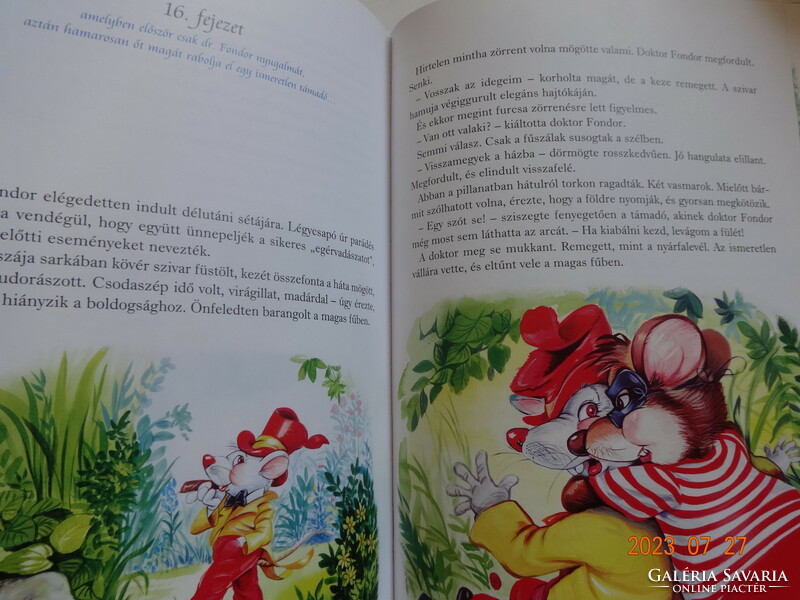 Péter Király: Adventures in the Chamber - storybook with drawings by the intelligent Dawn