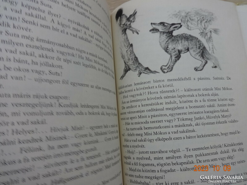 Tersánszky Józsi J.: Misi Mókus kalandjai - régi mesekönyv Róna Emy rajzaival (1980)