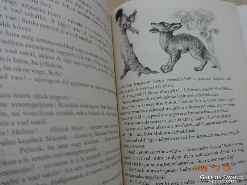 Józsi Józsi Tersánszky: Misi's Squirrel Adventures - old storybook with Róna Emy's drawings (1980)