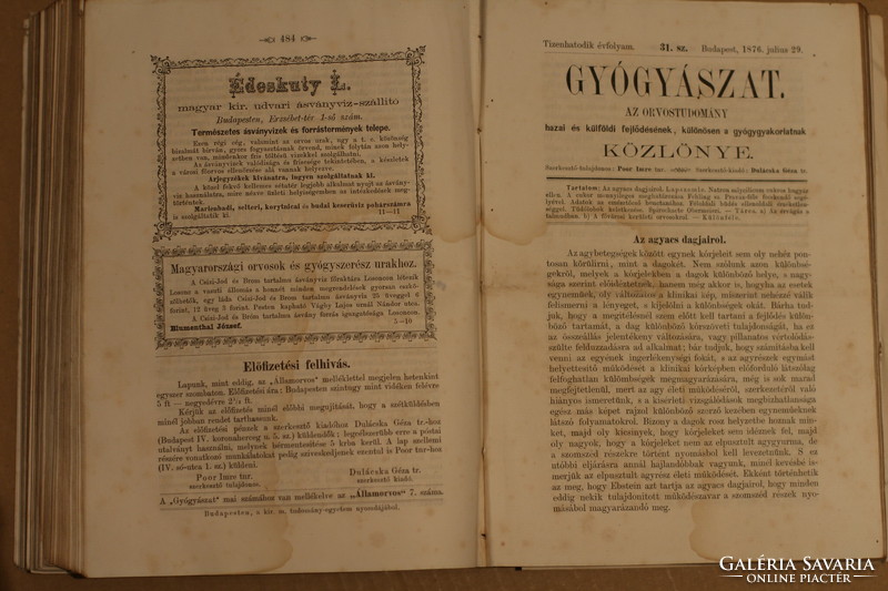 Gyógyászat 1876 Deák Ferenc gyászjelentés cikk antik újság