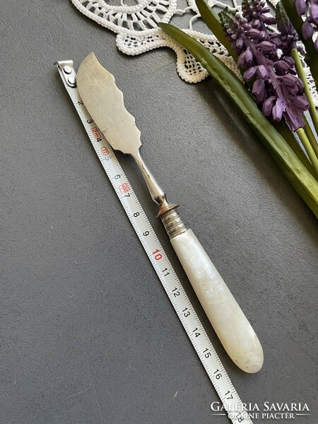 Old butter knife with mother-of-pearl handle in a beautiful shape