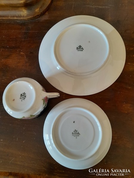 Alt Német,Germany Rosenthal 1910-20,Tristan Isolde 12 Személyes Tea-Kávé,Reggeliző Szett,Készlet.