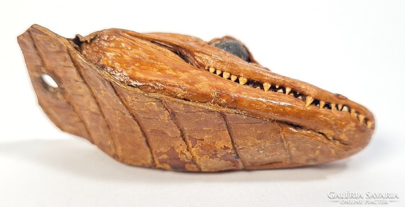 Prepared alligator head /taxidermy/ - pendant/talisman/key holder