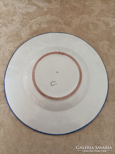 A pair of large ceramic wall plates, they are not identical