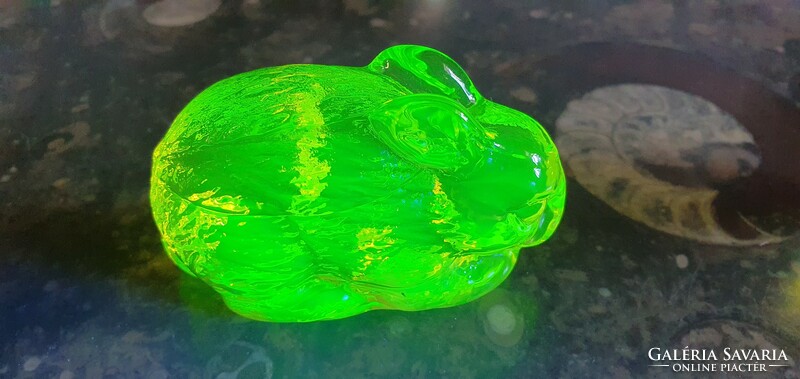 Uranium glass rabbit display case