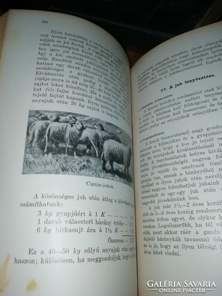 Alvinczy mihály's book of multi-production is in the condition shown in the pictures