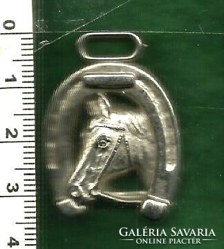 Horse's head pendant in a horseshoe