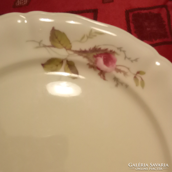 Régi Bavaria porcelán tányér