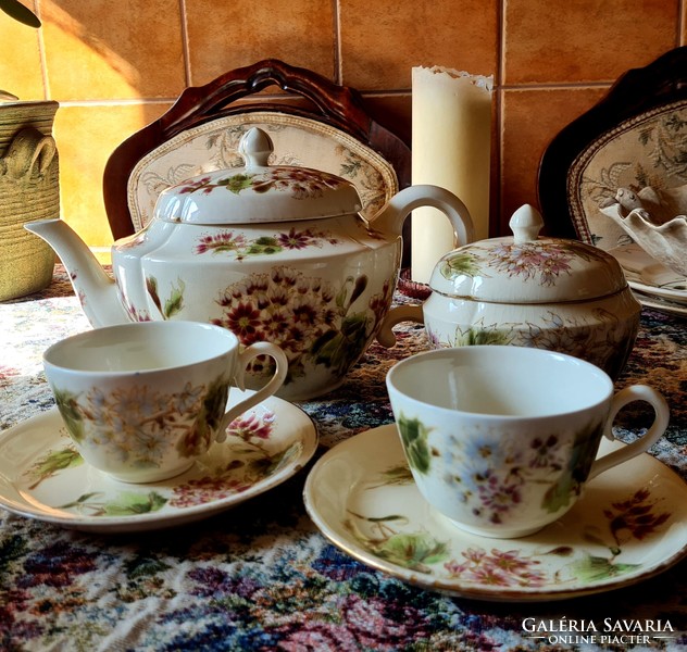 Beautiful Zsolnay tea set - with family mark