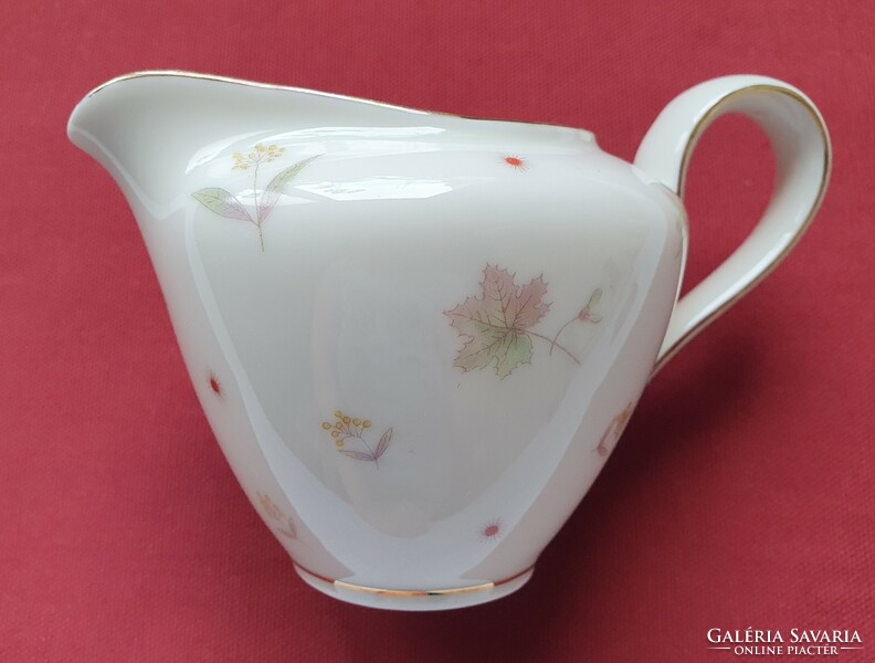 Wunsiedel r bavaria claudia German porcelain pouring milk cream with leaf pattern