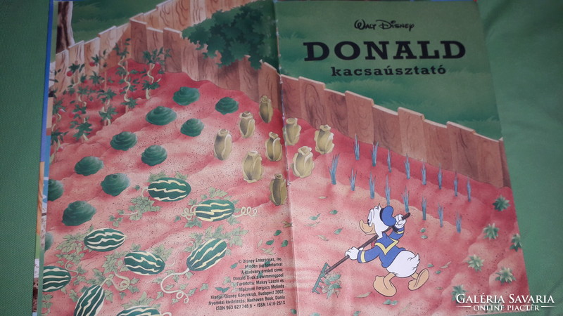 2002.DISNEY -  Donald kacsaúsztató KÉPES MESE könyv a képek szerint  DISNEY KÖNYVKLUB