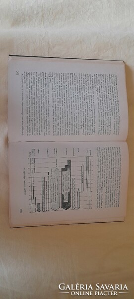 Szakácskönyv reformkonyha 1989