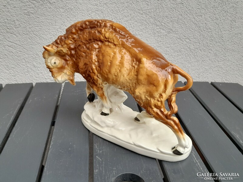 Nagyméretű Lippelsdorf Német porcelán bölény