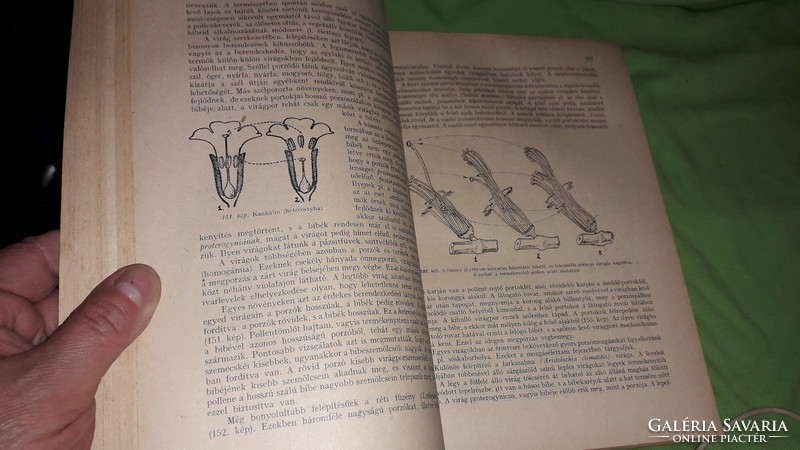 1956.Dr. Haraszty Árpád - Növénytan A PEDAGÓGIAI FŐISKOLÁK SZÁMÁRA  a képek szerint  TANKÖNYVKIADÓ