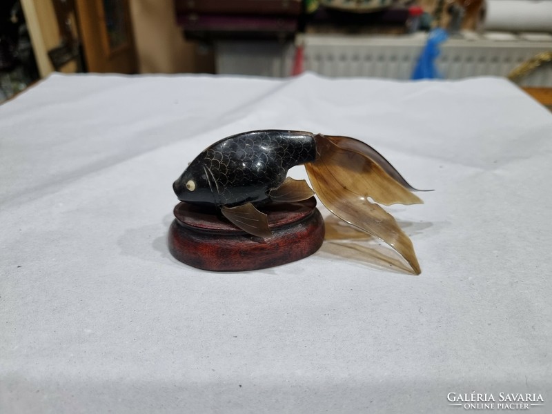 Ancient Oriental hornfish