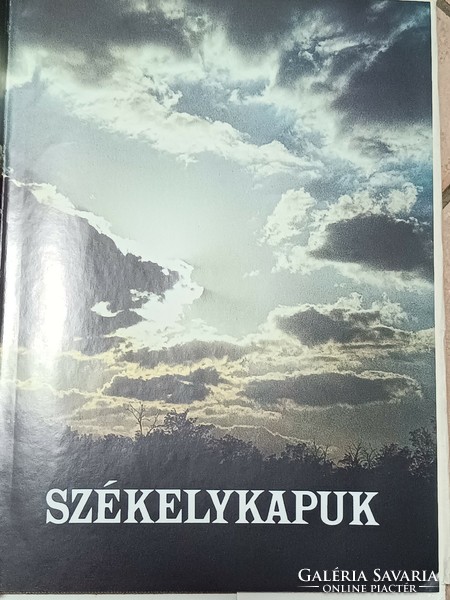 Székelykapuk