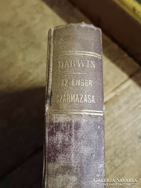 Darwin, Charles Az ember származása és az ivari kiválás.  A második javitott és bövített erede