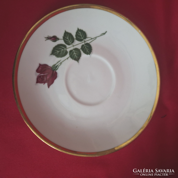 Bavaria porcelain coffee cup and plate
