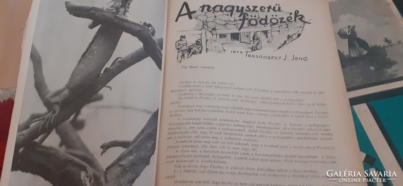 2 kötet Tükör magazin (1933/1934)