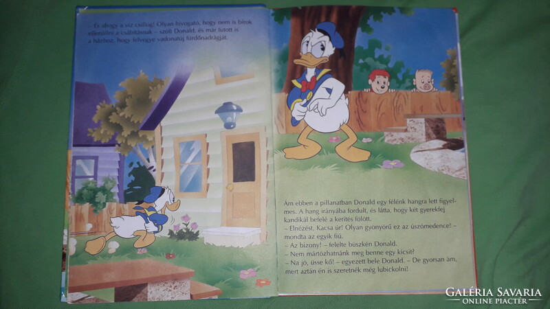 2002.DISNEY -  Donald kacsaúsztató KÉPES MESE könyv a képek szerint  DISNEY KÖNYVKLUB