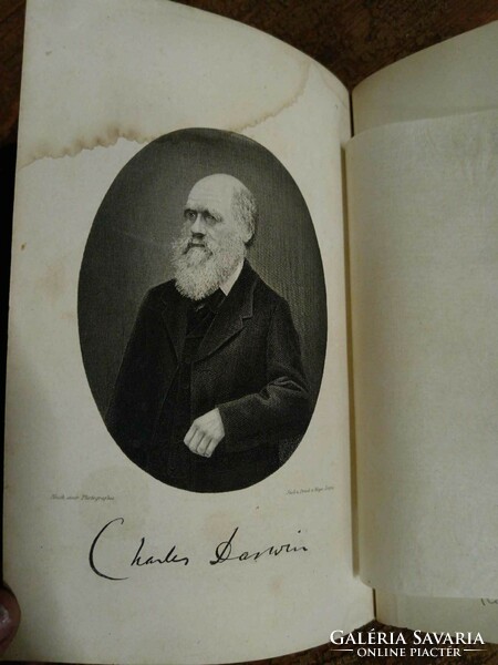 Darwin, Charles: the origin of species by natural separation i-ii. 1872-1873 edition, first Hungarian