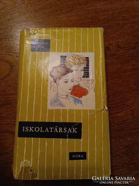 Csíkos könyvek  - Iskolatársak