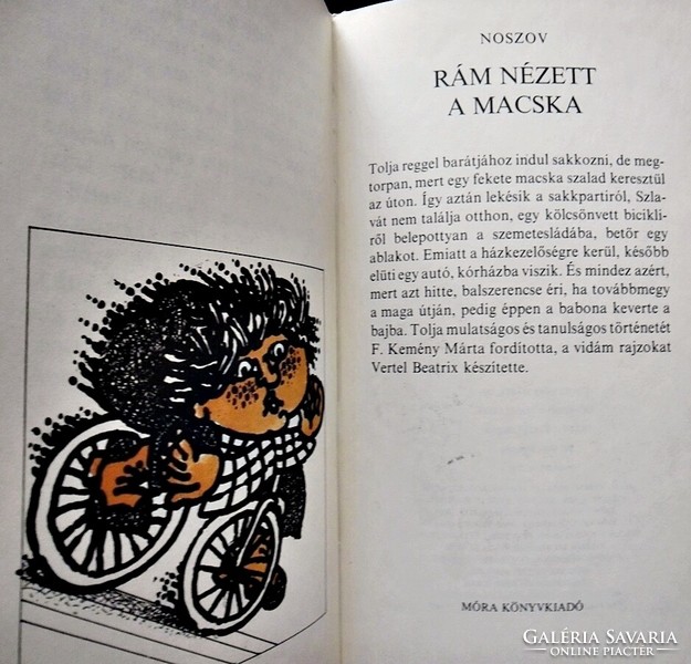 Noszov: Rám nézett a macska