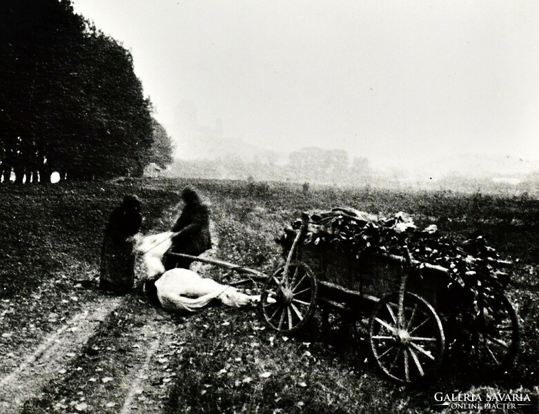 André kertész (1894-1985) - Károly Sélényi (1943): fallen horse, Esztergom 1916