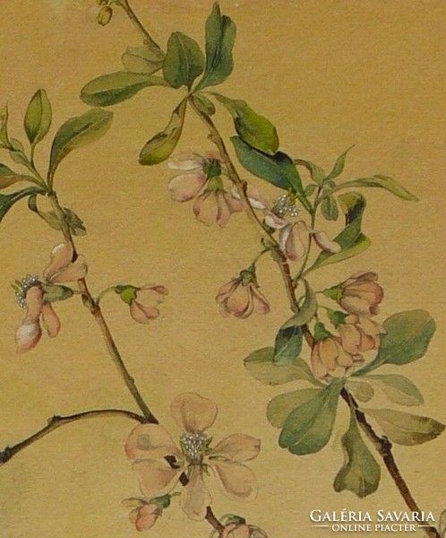 Sophisticated botanical watercolor, 1920s. Painting, picture. Marga Fischer