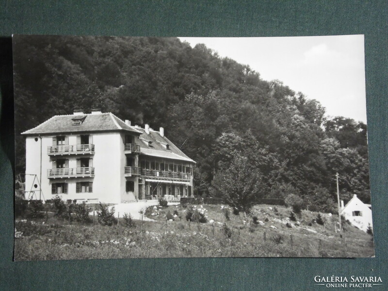 Postcard, bakonybél, Sot resort, view detail 1963