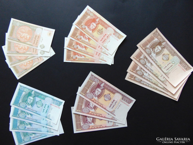 Lot of 19 tugrik unfolded banknotes of Mongolia!