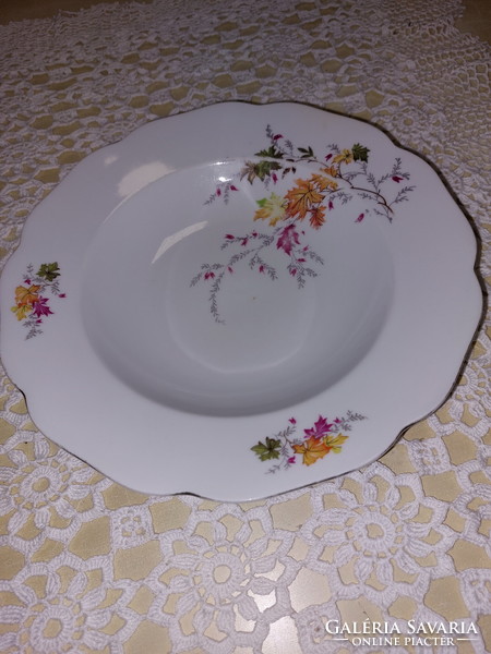 Colditz 1 deep plate with colorful leaves, 1 cake plate