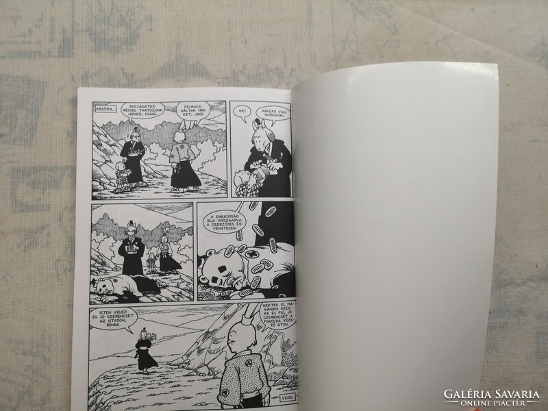Stan Sakai - Usagi Yojimbo - 5. kötet - Magányos kecske és kölyök