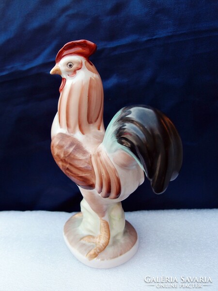 Aquincumi cock