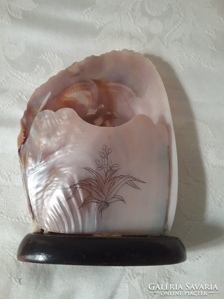 Beautiful old carved shell