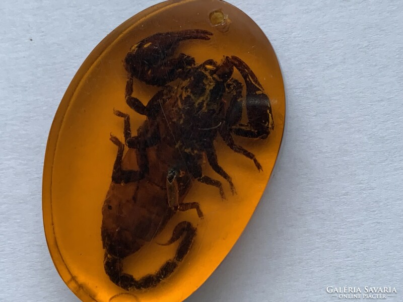 Régi valódi borostyán skorpió preparátummal, kulcstartó vagy medál