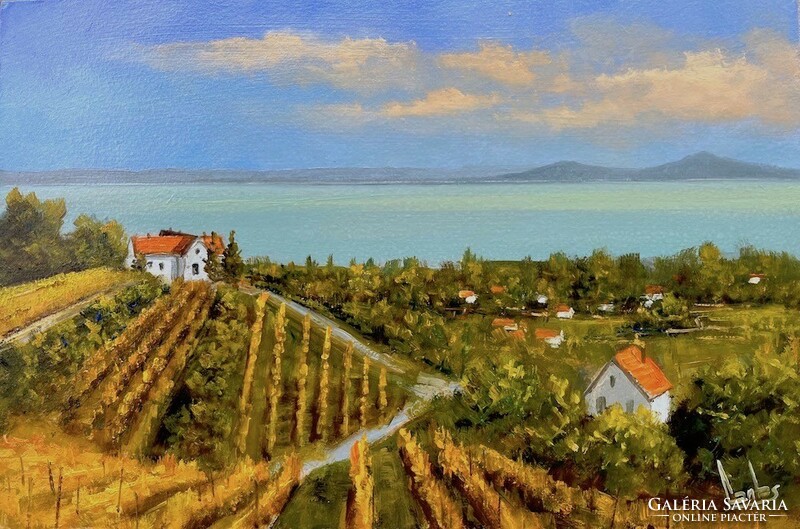 Sale György György lutes Balaton vineyard 20x30