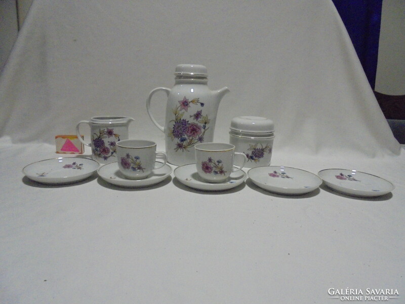 Existing pieces of retro lowland porcelain coffee set - jug, milk pitcher, sugar bowl, cups, ....