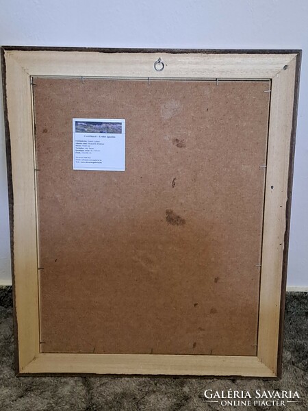 Szántó Lukács: Muskátlik ablakban c. kortárs olaj festménye