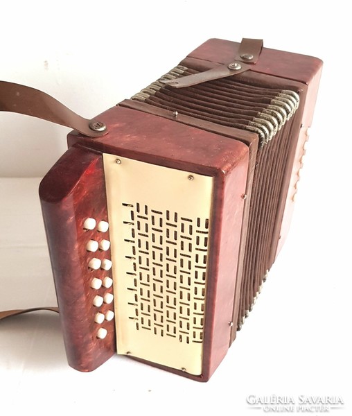 Russian children's accordion from the 1970s